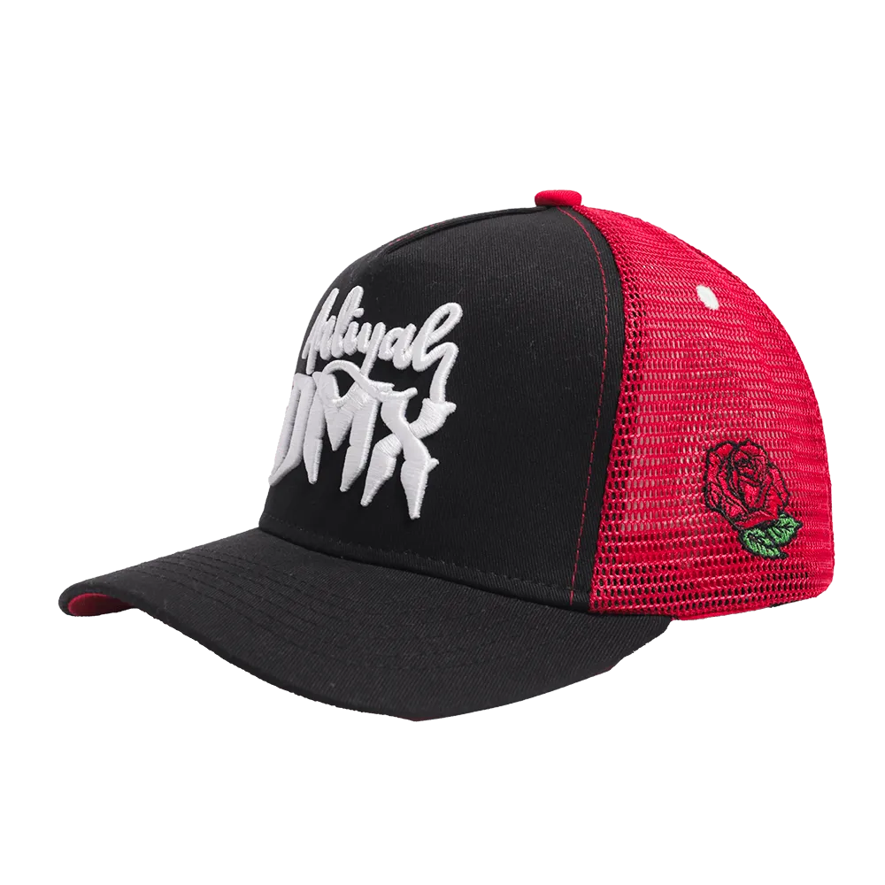 AALIYAH X DMX TRUCKER HAT