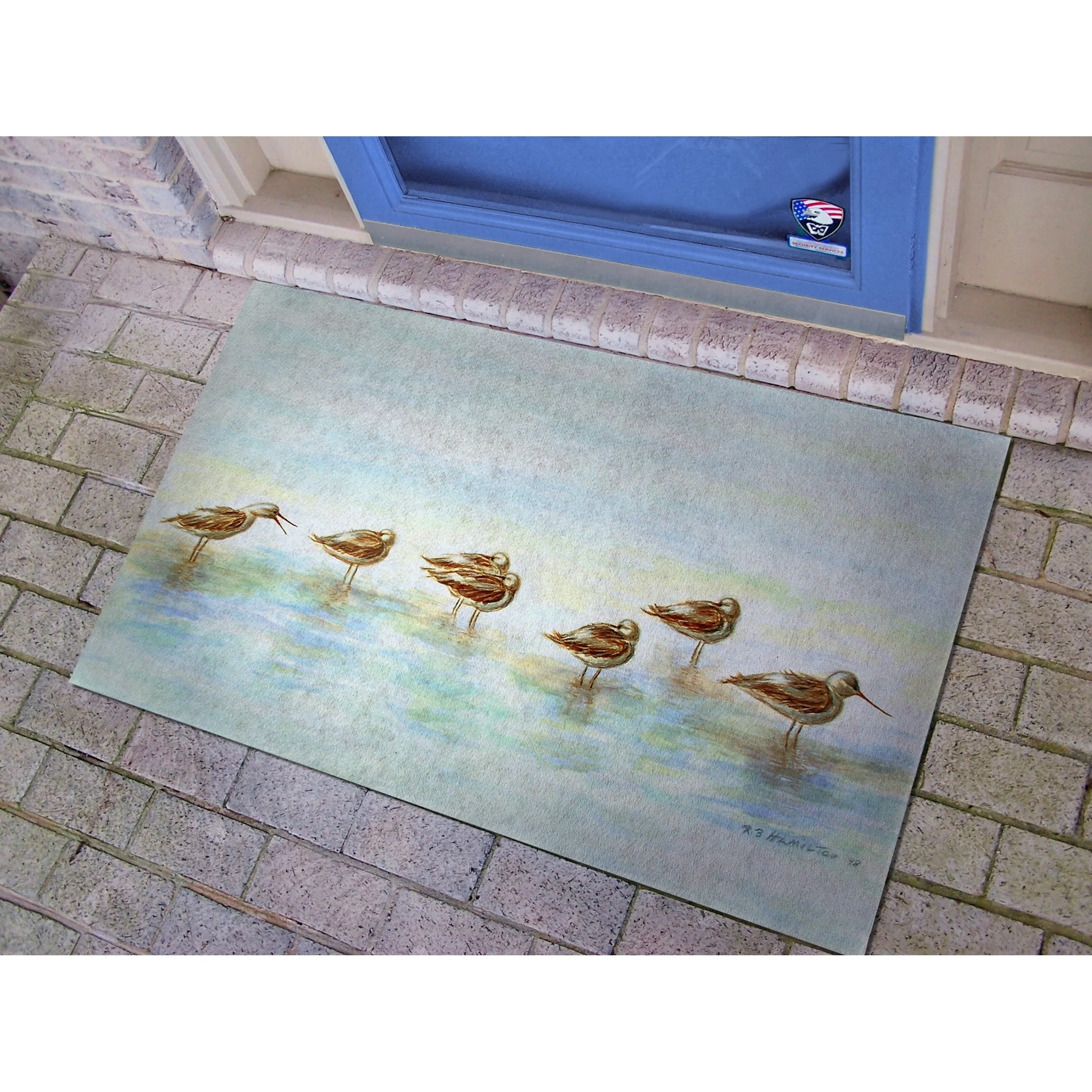 Avocets Doormat