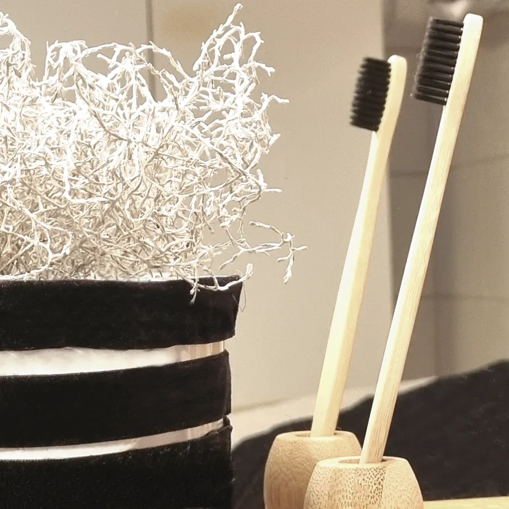 Bamboo Toothbrushes - Black Bristles- Pack of 2