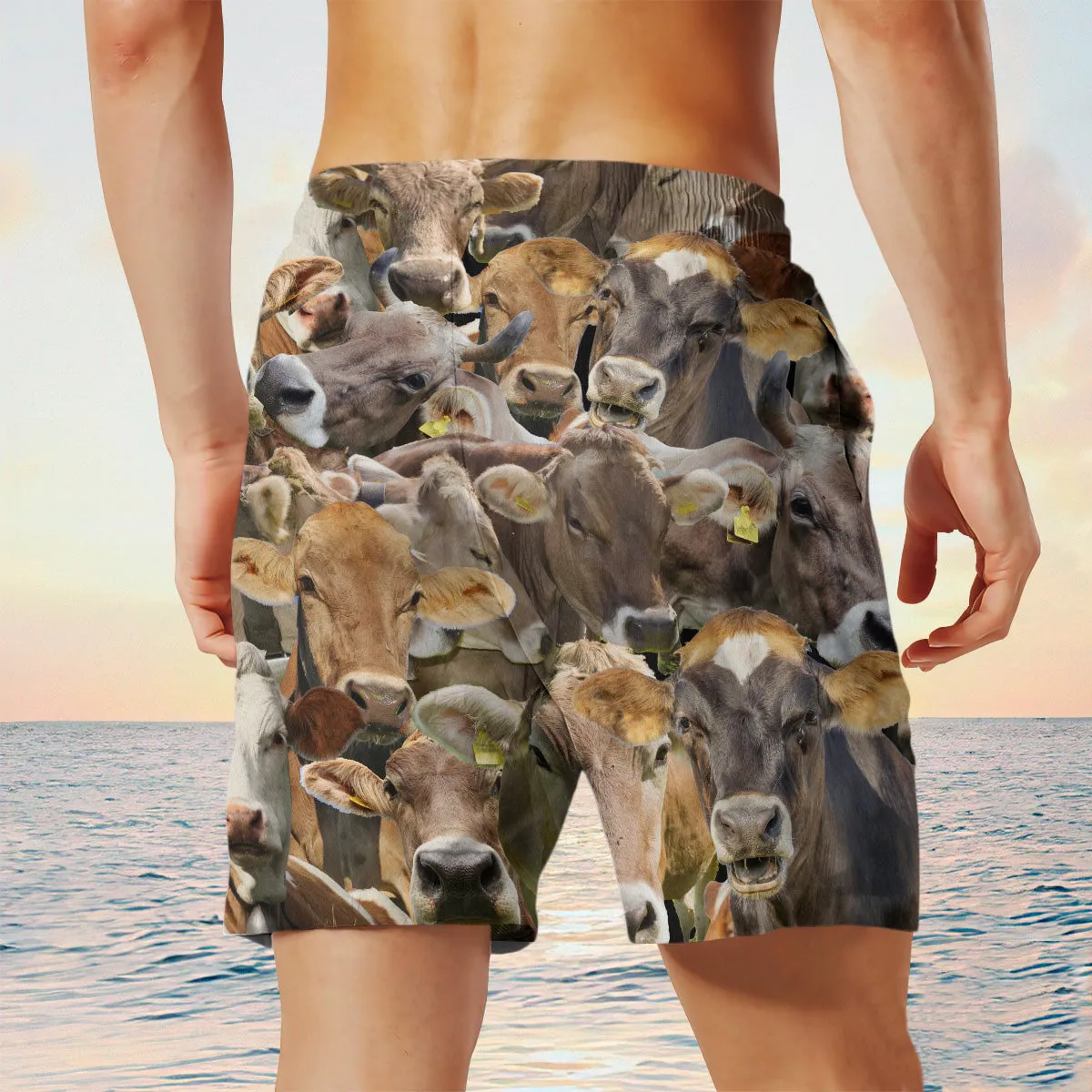 Brown Swiss Herd Shorts
