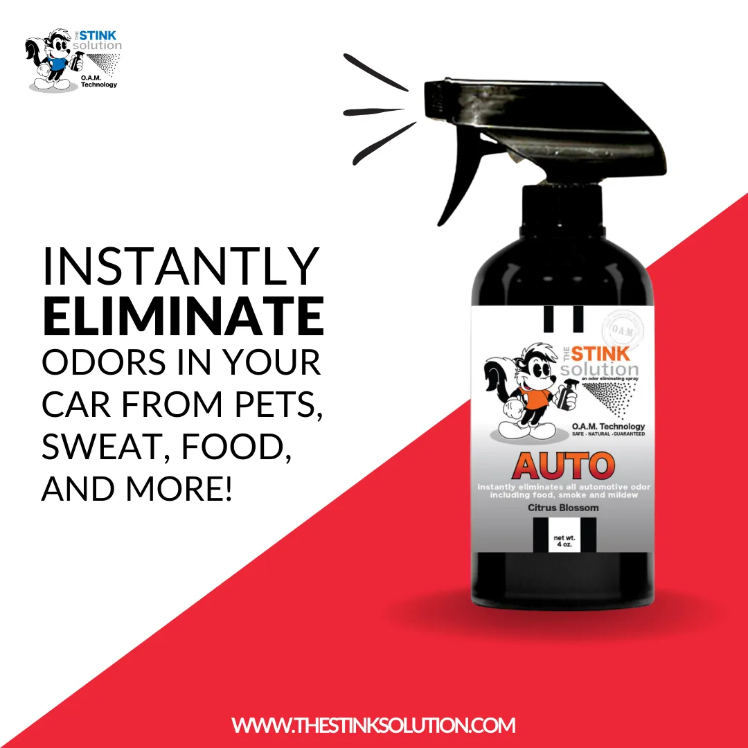 Buy 2 Get 4 FREE - (2) 16 oz (2) 4 oz Auto Odor Eliminating Spray Bundle   2 Car Air Fresheners