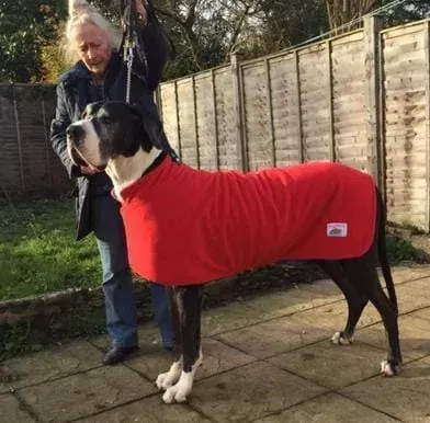 Dog Drying Coat With Bamboo