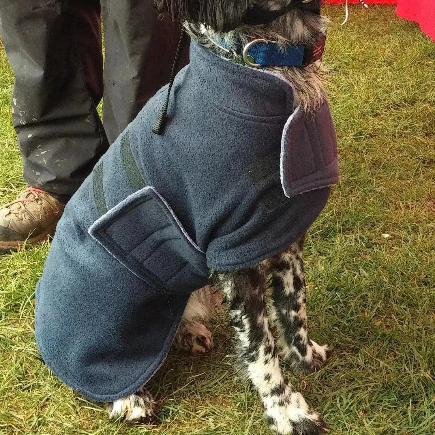 Dog Drying Coat With Bamboo