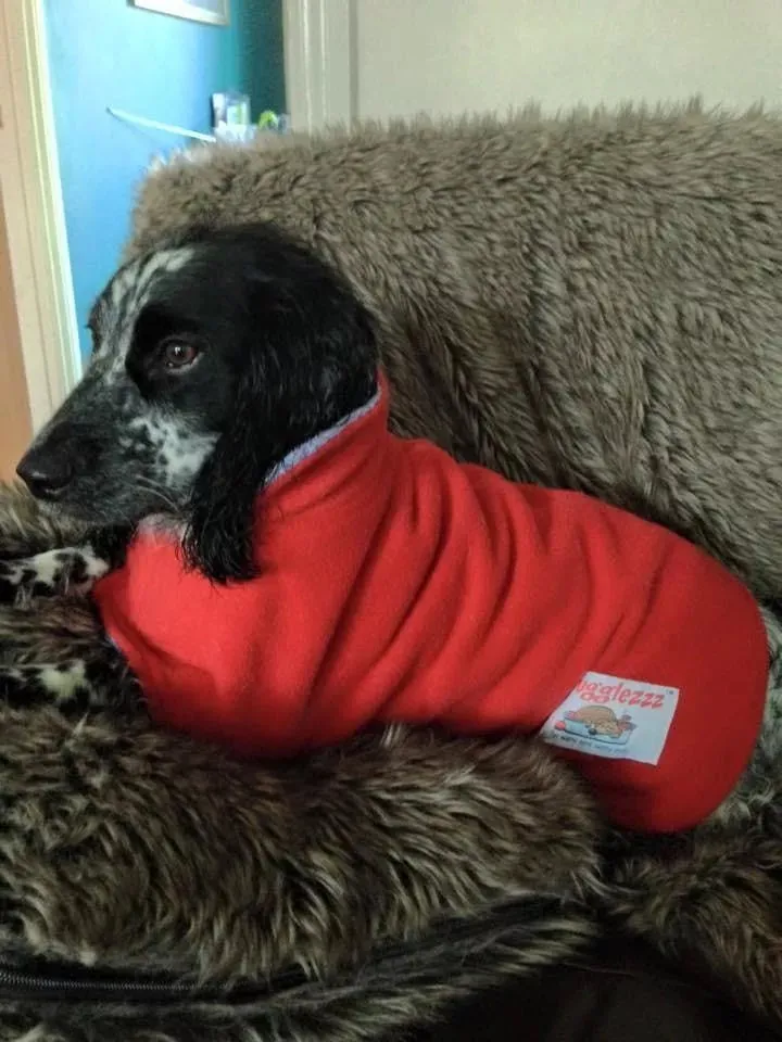 Dog Drying Coat With Bamboo