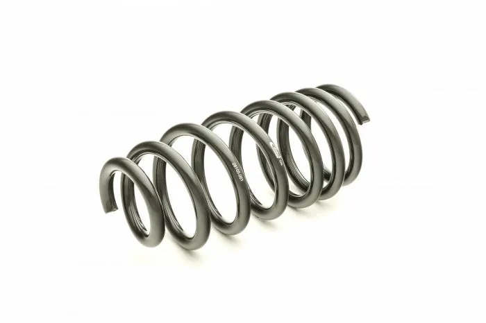 Eibach Pro-Kit Performance Lowering Springs 15-24 Dodge Charger (V6 3.6L & V8 5.7L) RWD