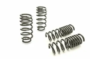 Eibach Pro-Kit Performance Lowering Springs 15-24 Dodge Charger (V6 3.6L & V8 5.7L) RWD