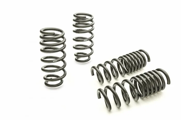 Eibach Pro-Kit Performance Lowering Springs 15-24 Dodge Charger (V6 3.6L & V8 5.7L) RWD