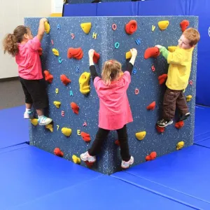 Everlast Climbing WeeKidz Tyke Tower