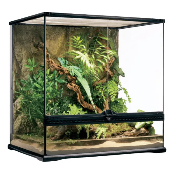 Exo Terra Terrarium - Medium Tall (60 x 45 x 60cm)