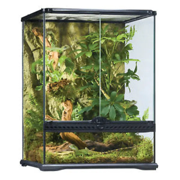 Exo Terra Terrarium - Small Tall (45 x 45 x 60cm)
