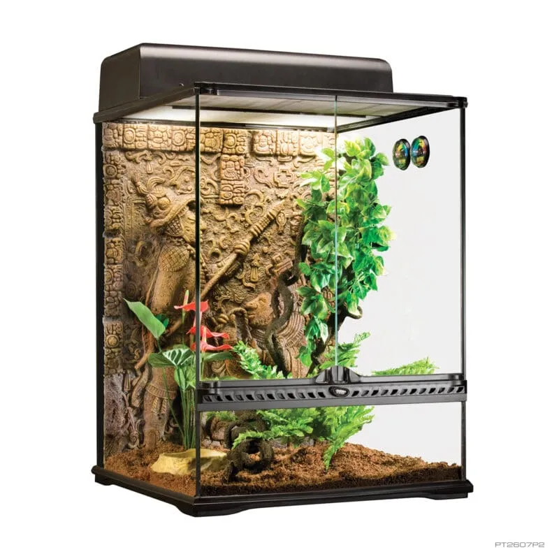 Exo Terra Terrarium - Small Tall (45 x 45 x 60cm)