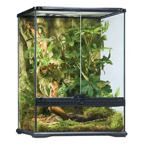 Exo Terra Terrarium - Small Tall (45 x 45 x 60cm)