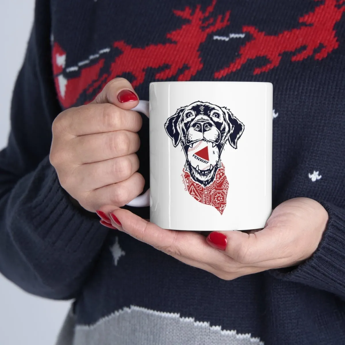 Fenway Dog 11oz Coffee Mug