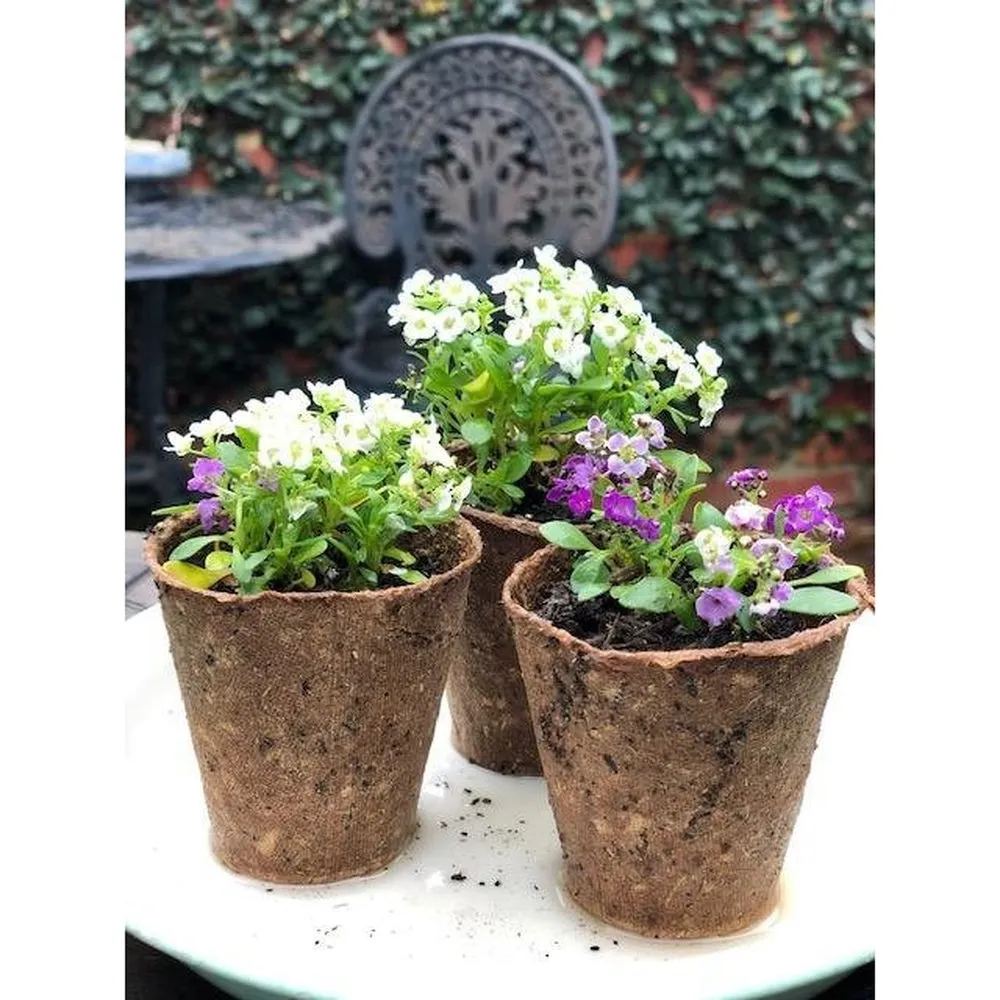 Fertilpots  - Biodegradable Propagation Pots