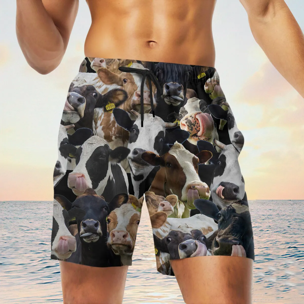 hostein Herd Shorts
