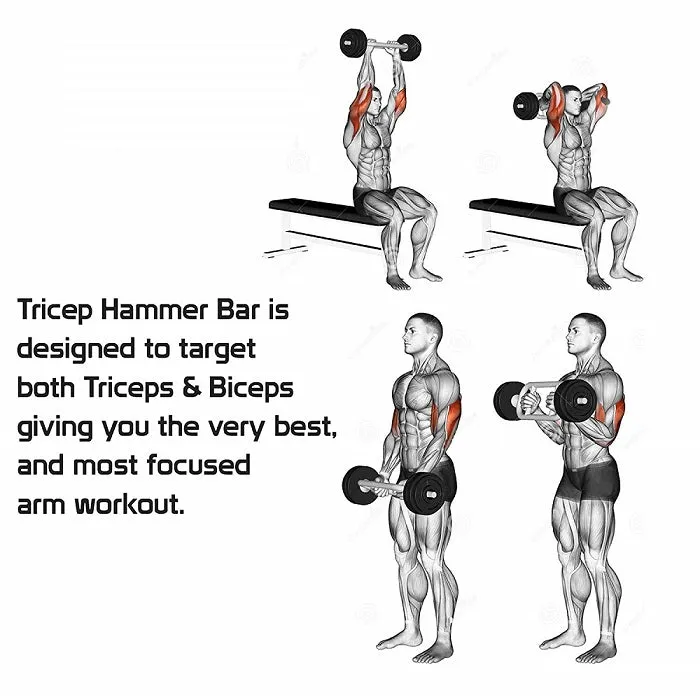 Imported Olympic Box Rod Biceps and Triceps Bar Gym Machine Accessories (35")