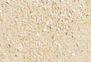 Kate Sea Beach Summer Sand Computer Printed Rubber Floor Mat