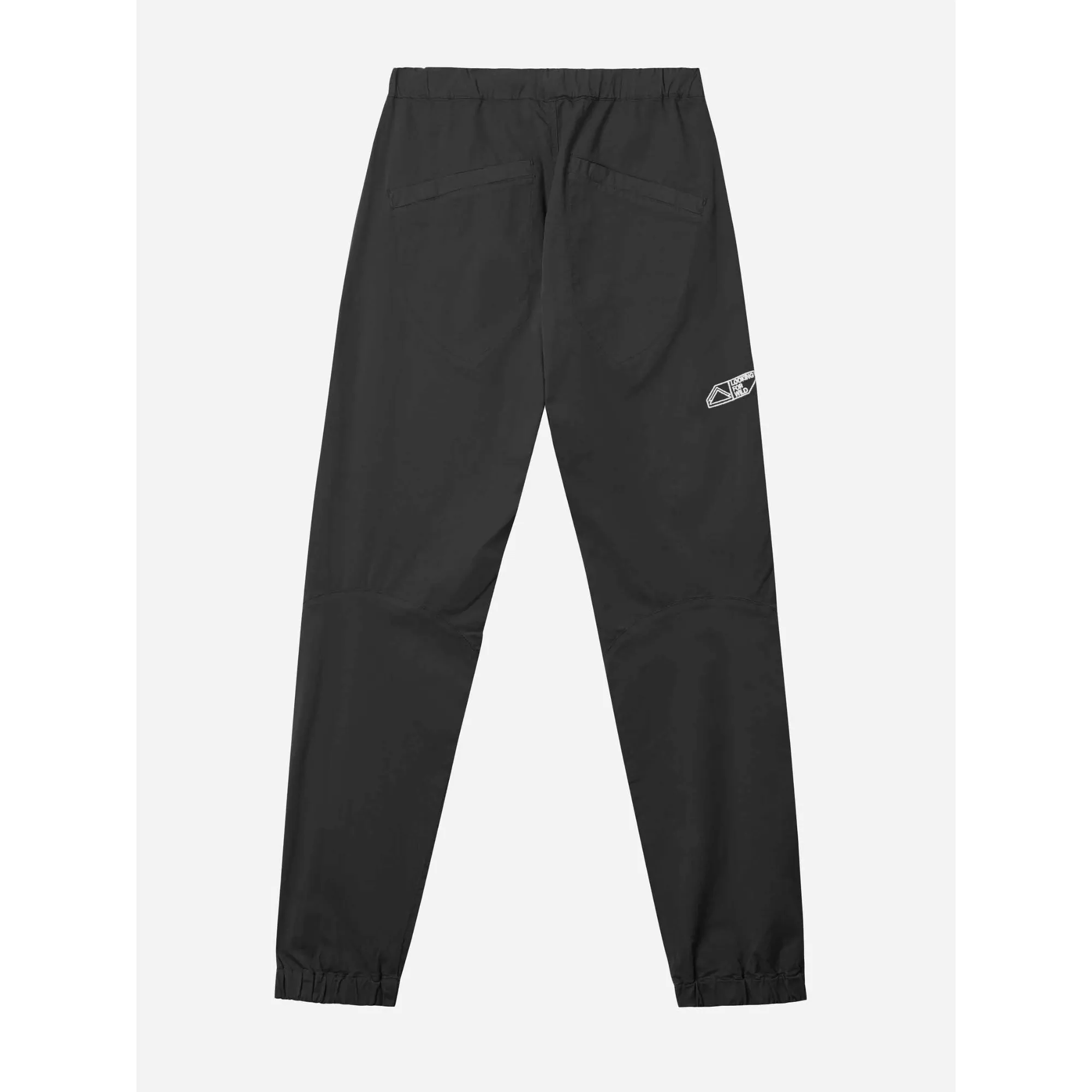 Looking For Wild Roy Pant - Men's