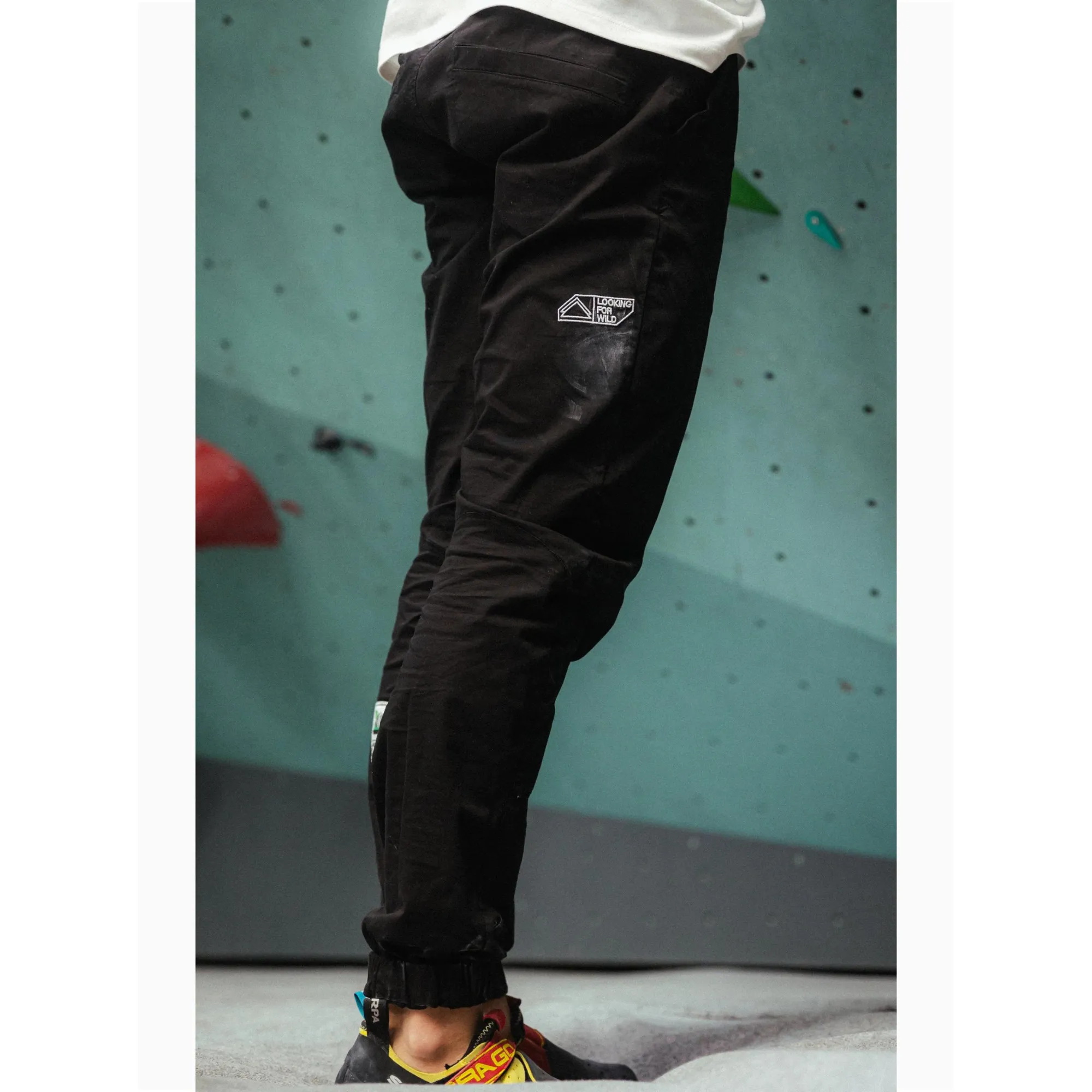 Looking For Wild Roy Pant - Men's