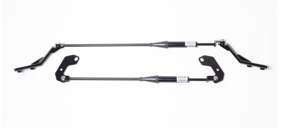 LTLD Performance Stabilizer Links for 2022  Honda Civic