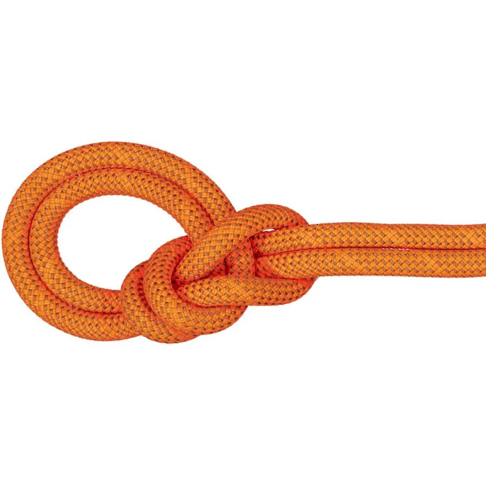 Mammut Crag Dry 9.8mm x 80m