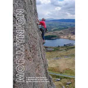 Moelwynion