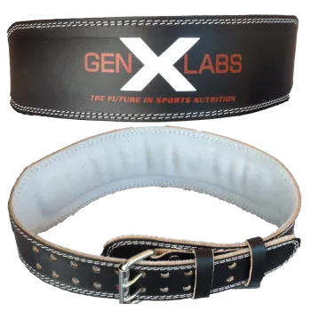 Padded Weight Lifting Belt 4"