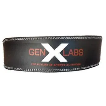 Padded Weight Lifting Belt 4"