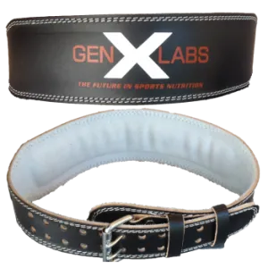 Padded Weight Lifting Belt 4"