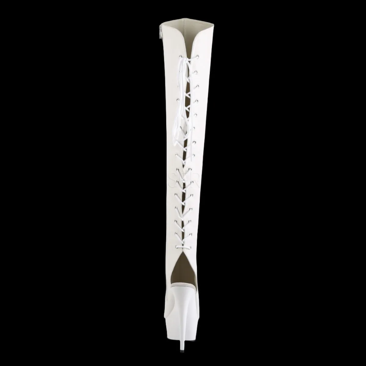 Pleaser DELIGHT-3019 Boots