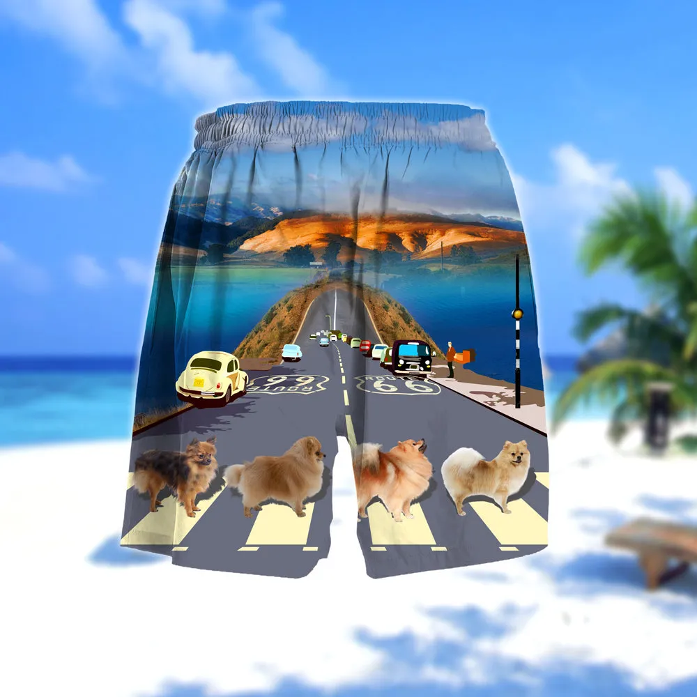Pomeranian Cross the road- Men Hawaii Beach Shorts