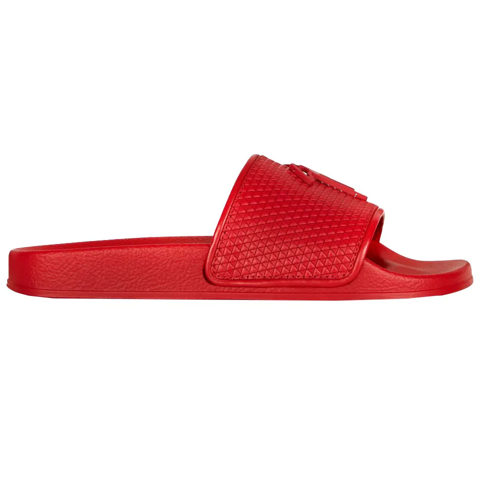 Red System Slides