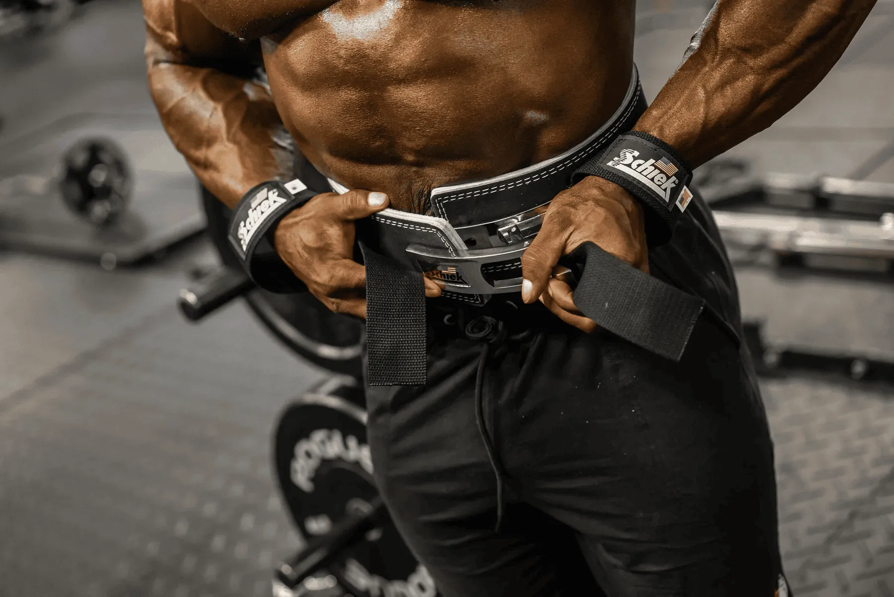 Schiek Lifting Straps - Model 1000 Basic Lifting Straps