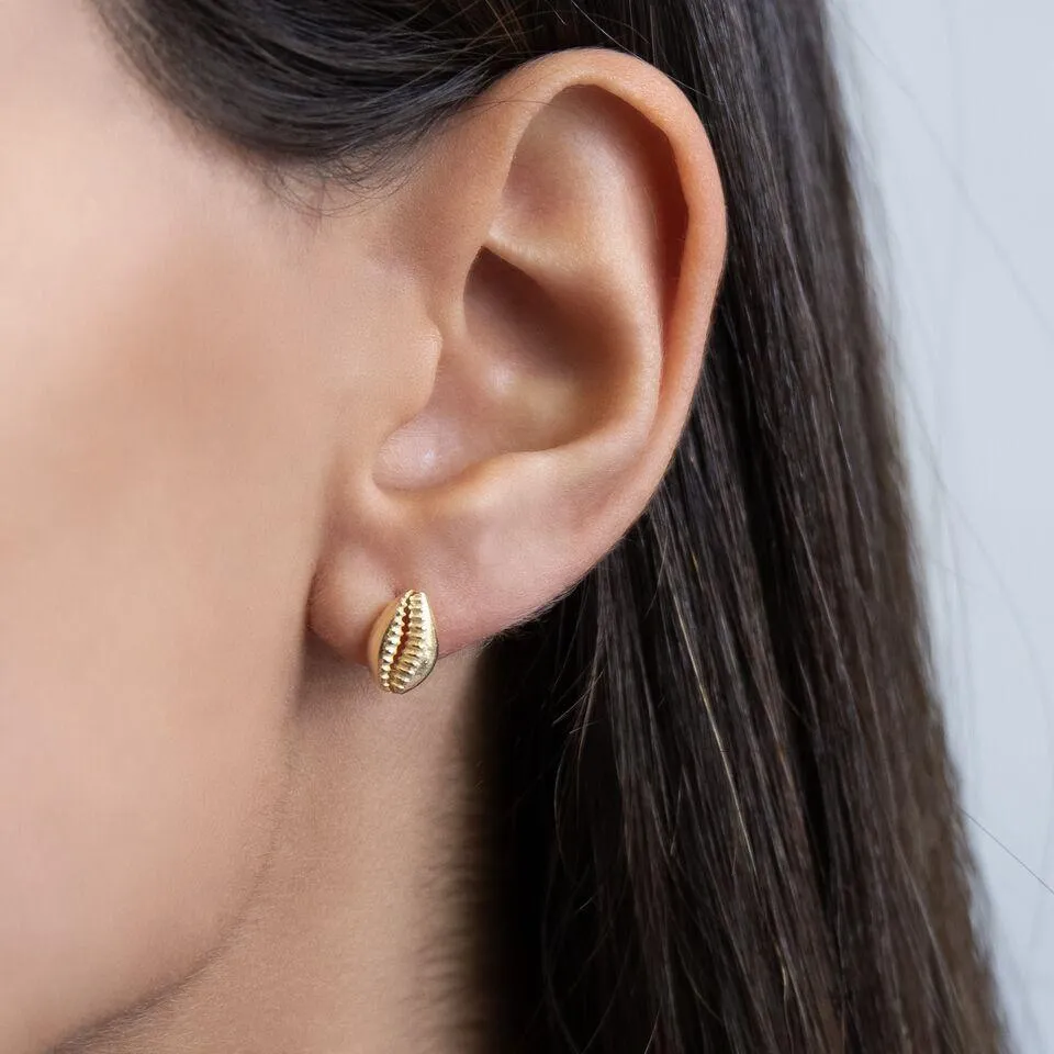 Shell Stud Earring