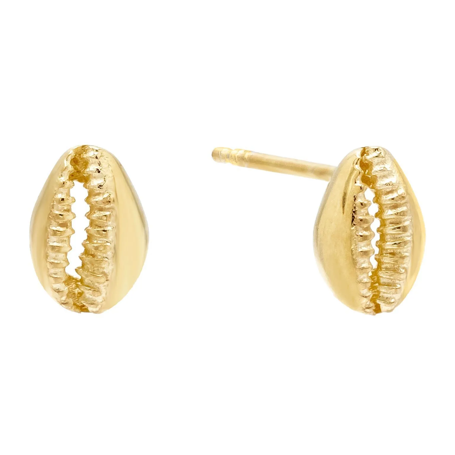 Shell Stud Earring