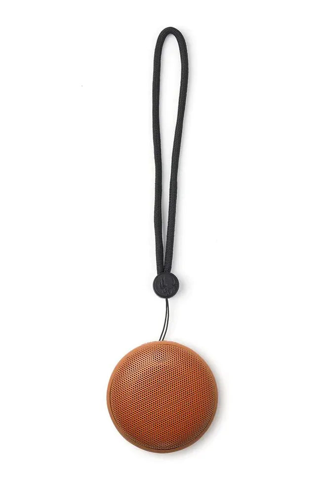 Speaqua Cruiser Speaker