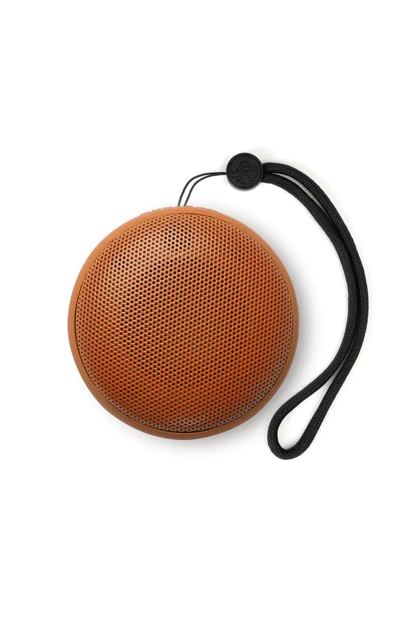 Speaqua Cruiser Speaker