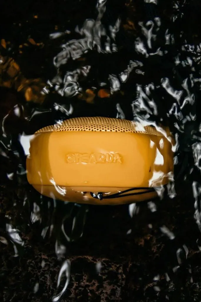 Speaqua Cruiser Speaker