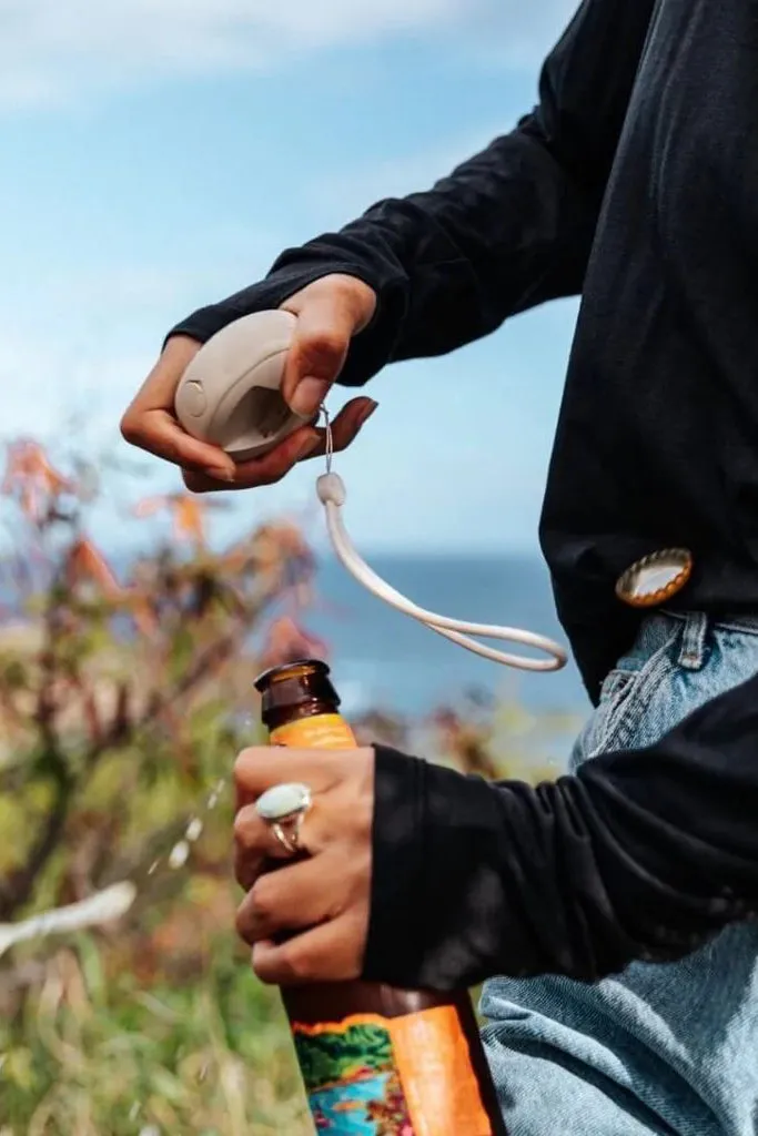 Speaqua Cruiser Speaker