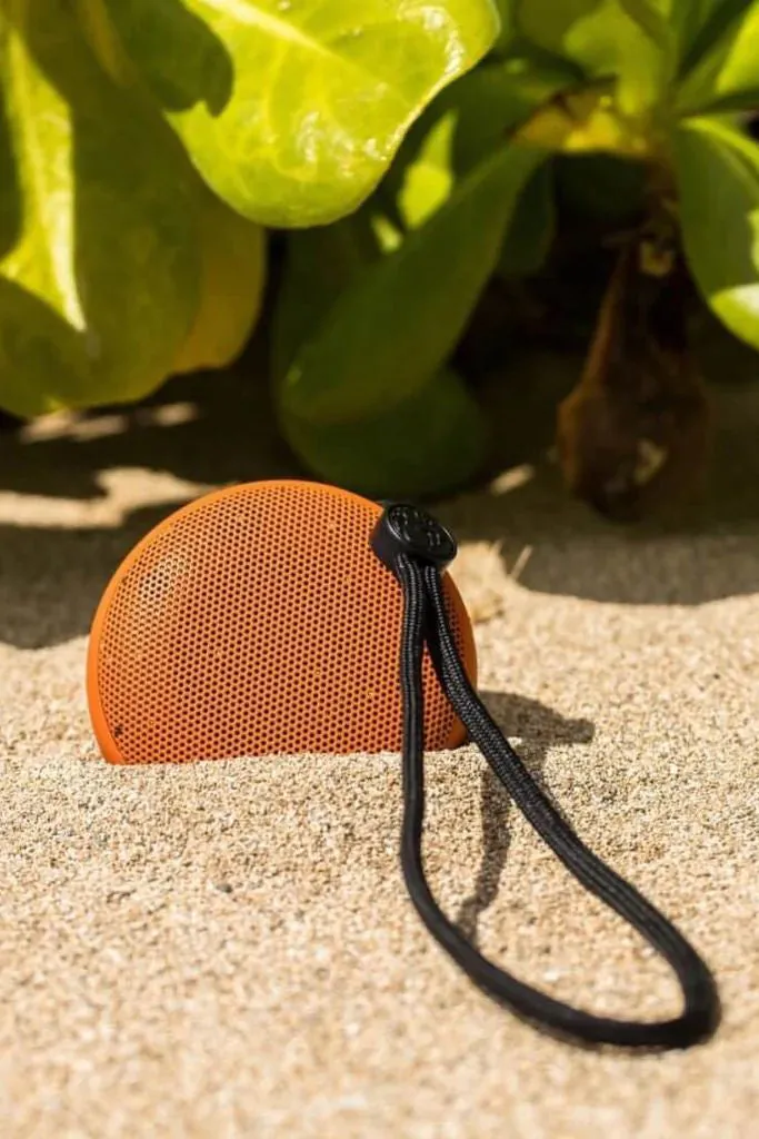 Speaqua Cruiser Speaker