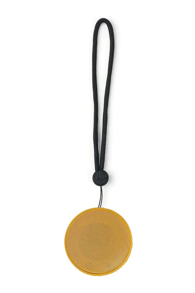 Speaqua Cruiser Speaker