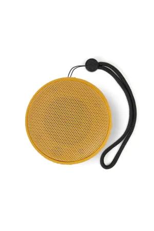 Speaqua Cruiser Speaker