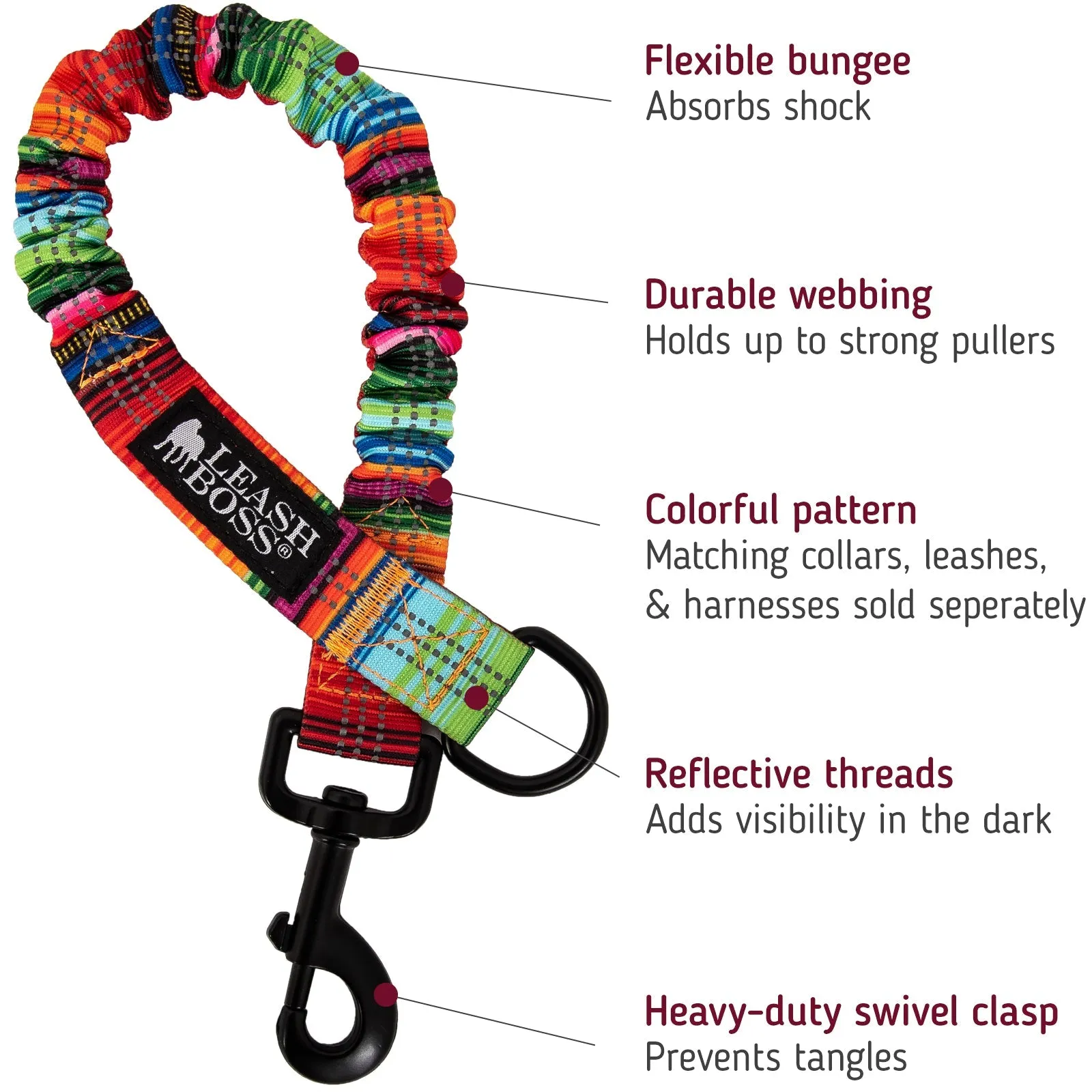 Swim & Explore Bundle - Dog Swimming Kit