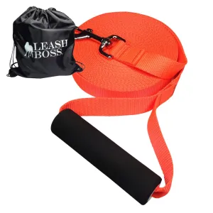 Swim & Explore Bundle - Dog Swimming Kit