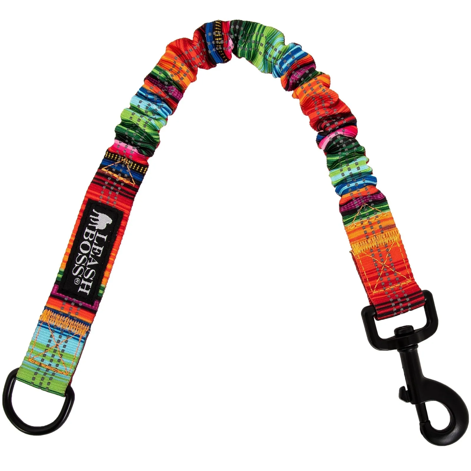 Swim & Explore Bundle - Dog Swimming Kit