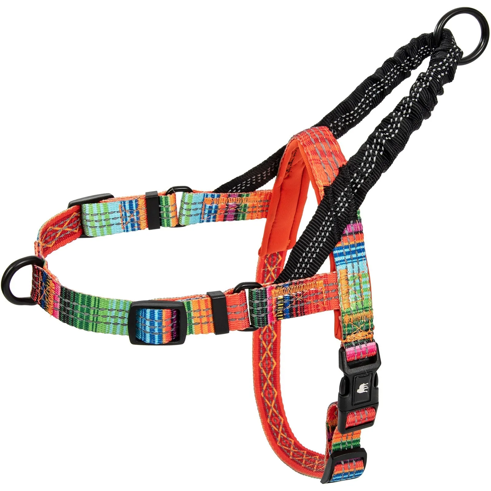 Swim & Explore Bundle - Dog Swimming Kit
