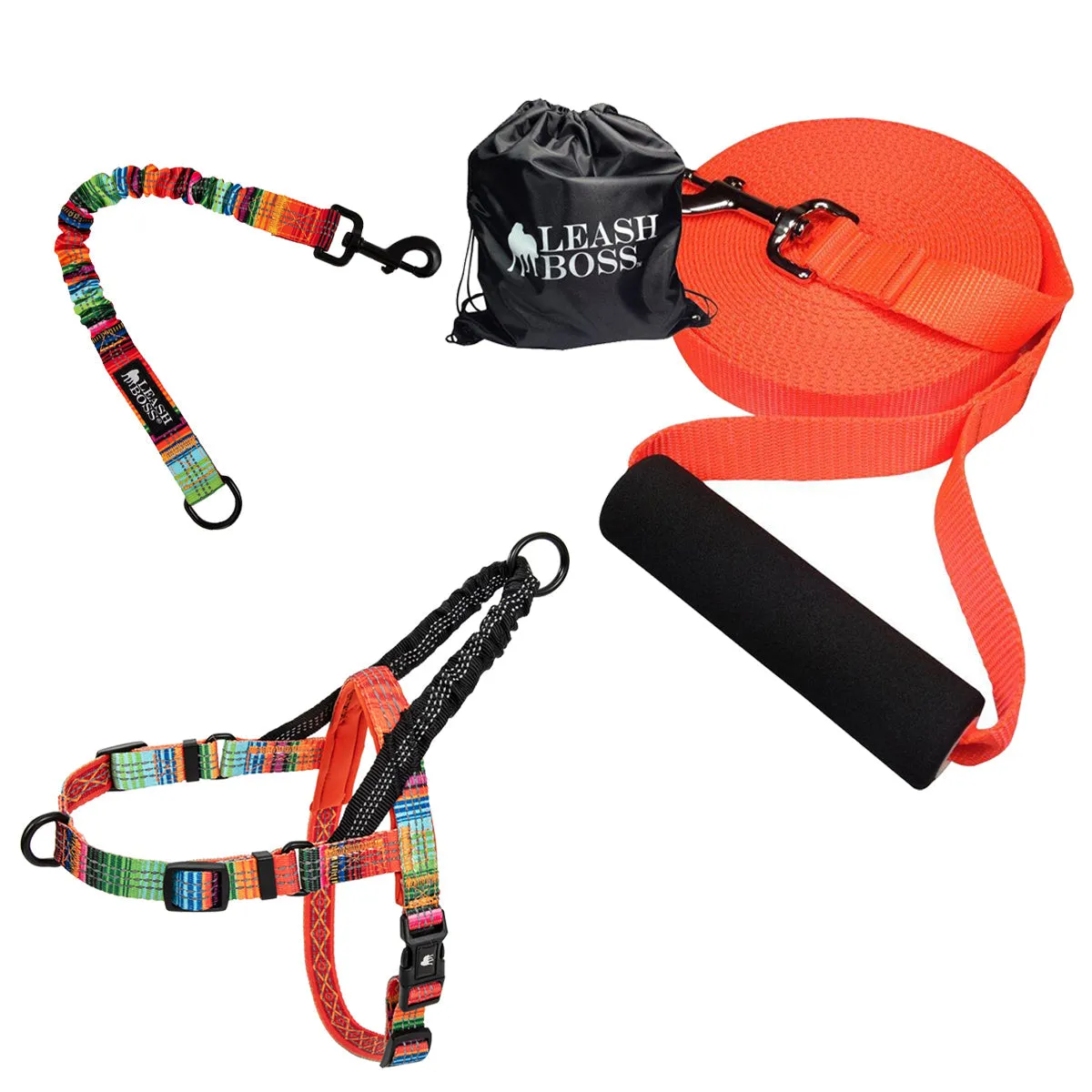 Swim & Explore Bundle - Dog Swimming Kit