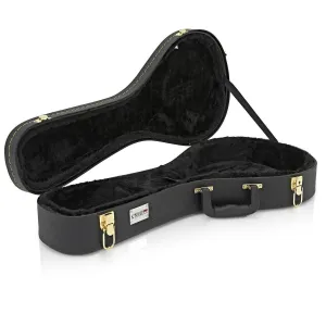 TGI Mandolin Case