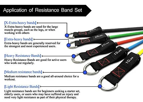 TheFitLife Exercise Resistance Bands with Handles - 5 Fitness Workout Bands Stackable up to 110 / 150 lbs, Training Tubes with Large Handles, Ankle Straps, Door Anchor Attachment, Carry Bag (110 LBS)
