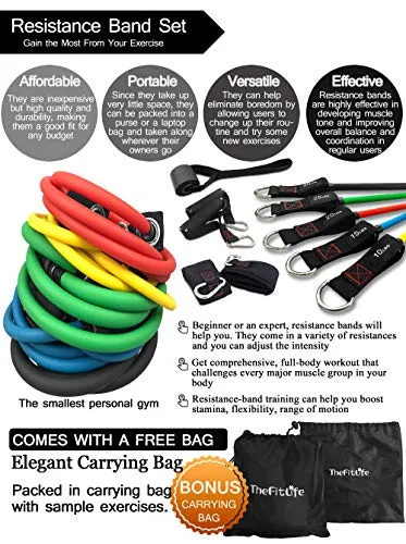 TheFitLife Exercise Resistance Bands with Handles - 5 Fitness Workout Bands Stackable up to 110 / 150 lbs, Training Tubes with Large Handles, Ankle Straps, Door Anchor Attachment, Carry Bag (110 LBS)